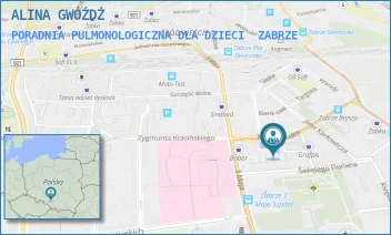 PORADNIA PULMONOLOGICZNA DLA DZIECI - ALINA GWÓŹDŹ - PLAC KRAKOWSKI 10,  ZABRZE